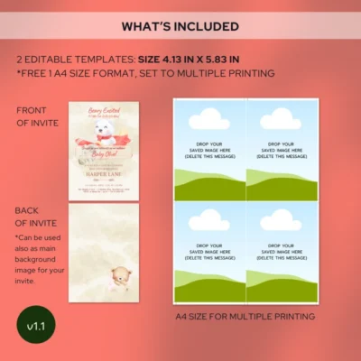 Baby Shower Invitation Bear Theme v1.1