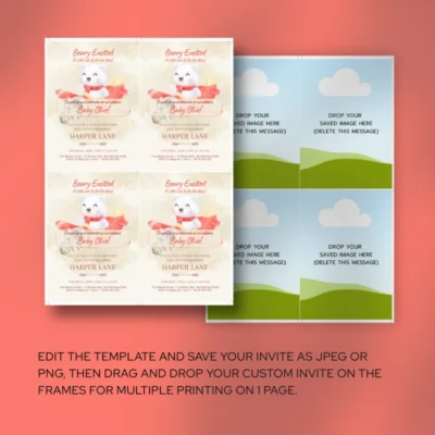 Baby Shower Invitation Bear Theme v1.1